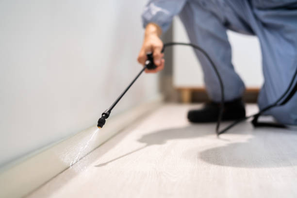Licensed Exterminator service in Waynesboro, VA - Show Me Pest Control