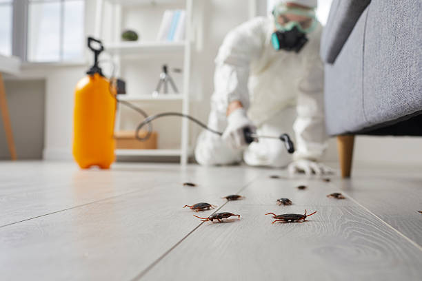 Commercial Kitchen Cockroach Control in Waynesboro